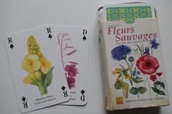 Couverture de Fleurs Sauvages