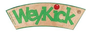 Logo de Weykick