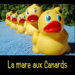 Couverture de La mare aux canards