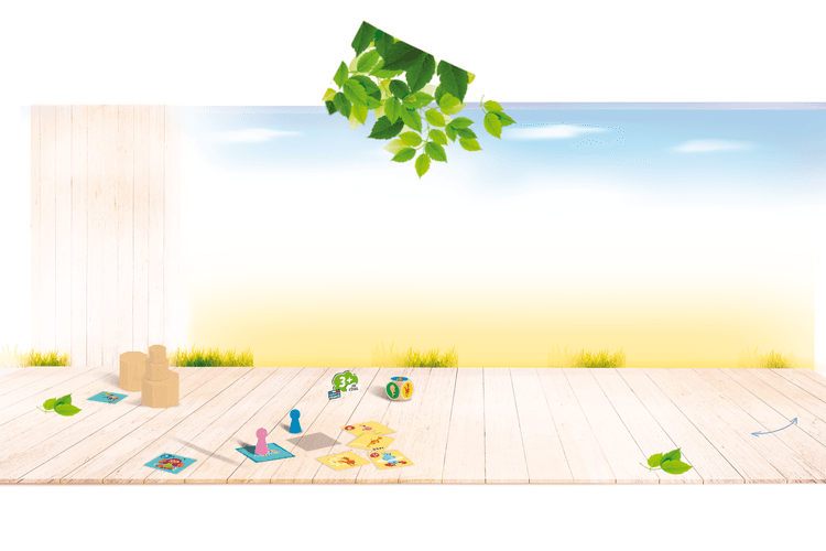 Boîte du jeu : Défis Nature des Petits Forêt