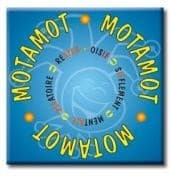 Boîte du jeu : Motamot