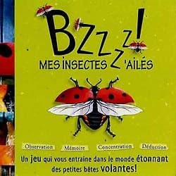 Couverture de Bzzz mes Insectes z'ailés