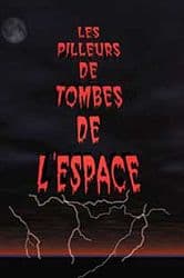 Couverture de Les Pilleurs de Tombes de l'Espace