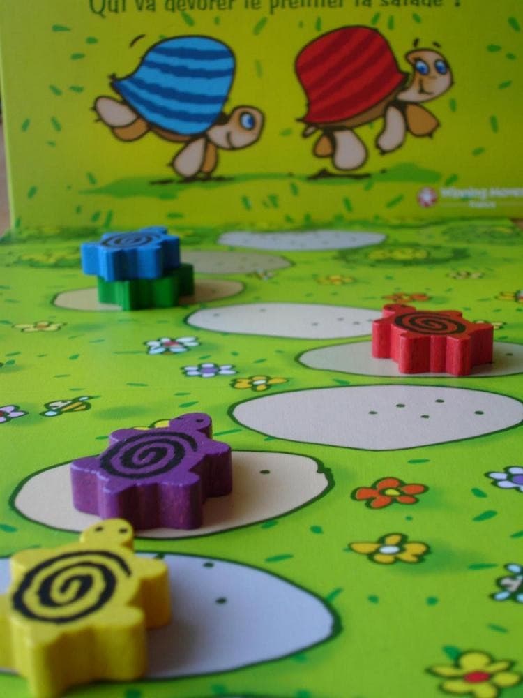 Boîte du jeu : La Maxi Course des Tortues