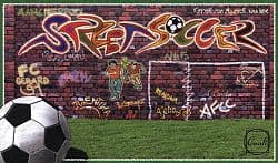 Boîte du jeu : StreetSoccer