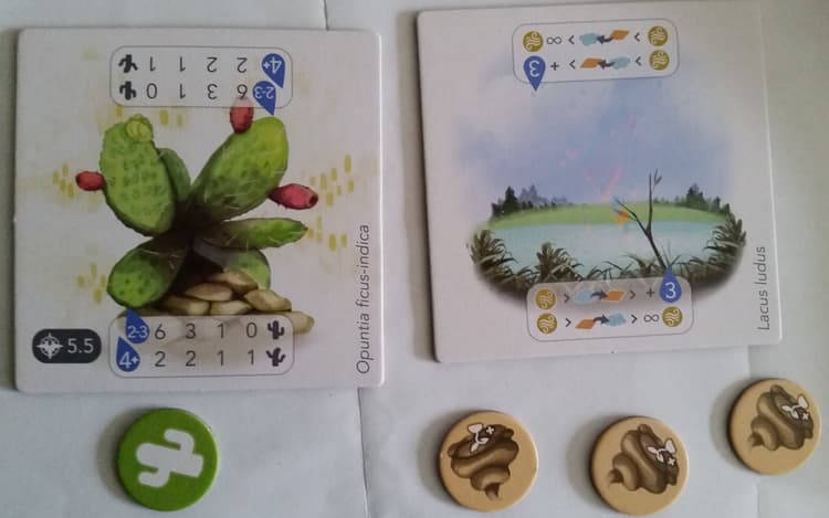 Boîte du jeu : Petrichor : Kickstarter Promo