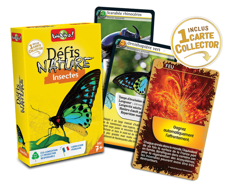 Boîte du jeu : Défis Nature - Insectes