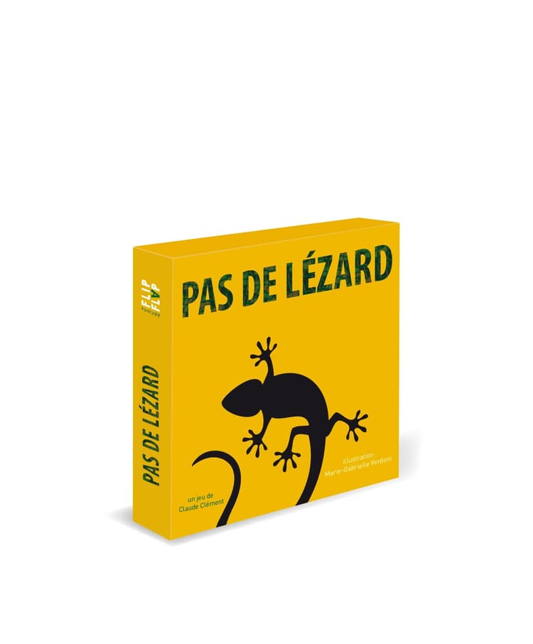 Boîte du jeu : Pas de Lézard