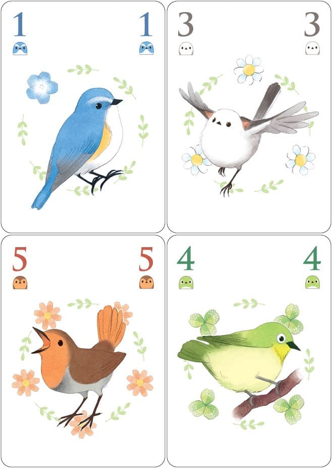 Boîte du jeu : Birdie Fight!
