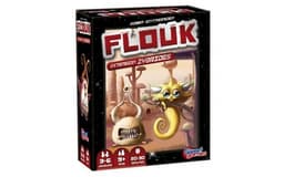 Couverture de Flouk zybrydes