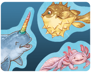 Boîte du jeu : Dive: Axolotl, Fugu & Narval (goodies)