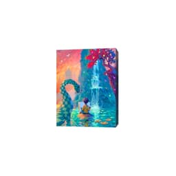 Couverture de Canvas : Reflets