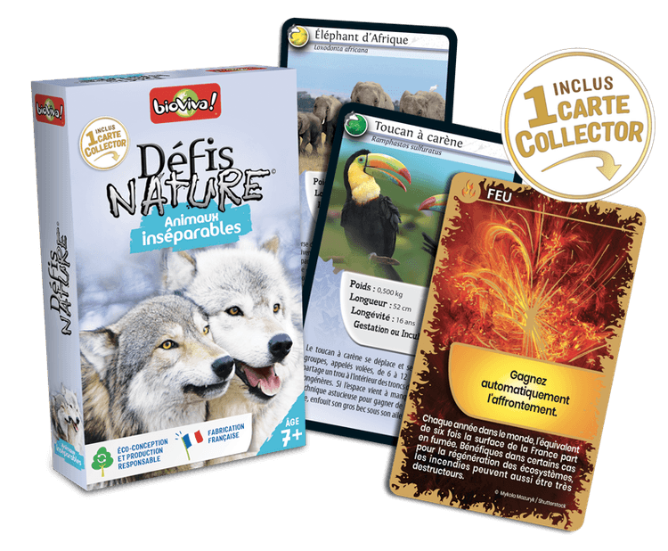 Boîte du jeu : Défis Nature - Animaux inséparables