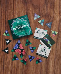 Couverture de SUCCULENTS
