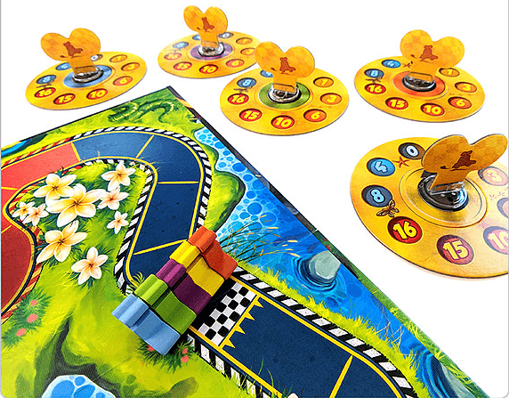 Boîte du jeu : Spring Rally