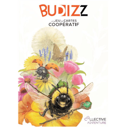 Couverture de Budizz