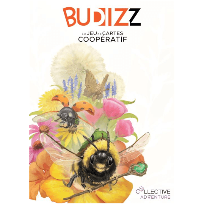 Boîte du jeu : Budizz