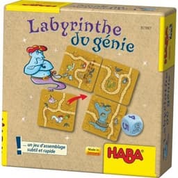 Couverture de Labyrinthe du génie