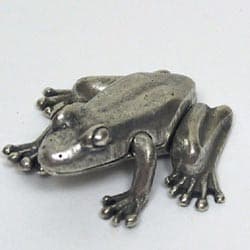 Couverture de Silver Frog