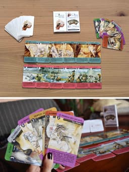 Couverture de Jeu de 7 familles de la grotte Chauvet - Pont d'Arc