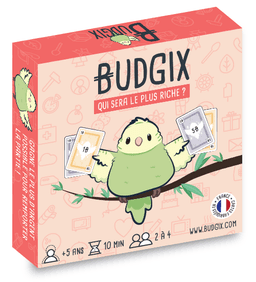 Couverture de BUDGIX