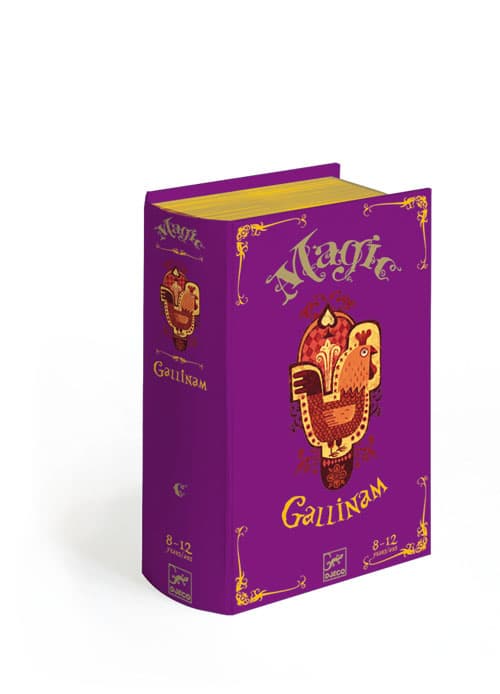 Boîte du jeu : Magic Gallinam